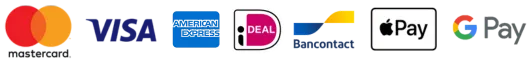 Supported safe payment methods including Visa Mastercard PayPal Amex